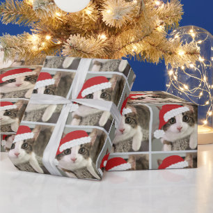 Presente Papel de enrolamento do Gatinho de Natal