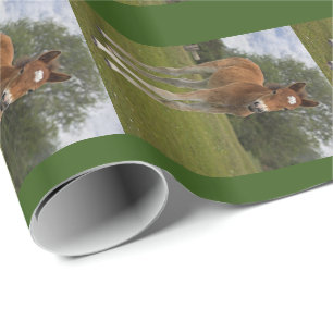 Presente Papel de enrolamento do pé