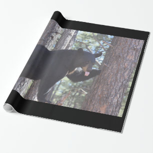 Presente Papel de enrolamento do urso preto