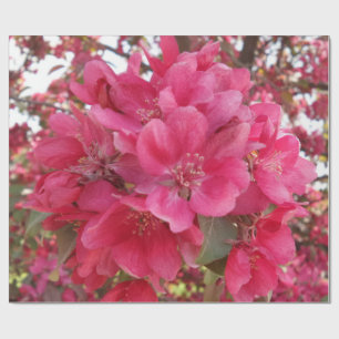 Presente Papel de enrolamento do ventilador da primavera