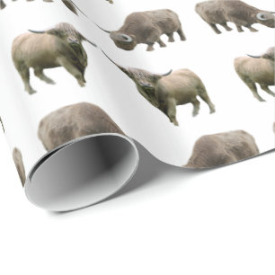 Presente Papel de enrolamento francês da Vaca Highland (Esc