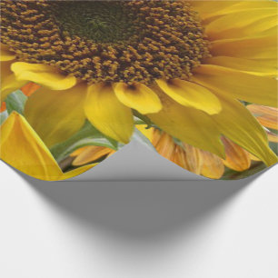 Presente Papel de enrolamento Girassóis