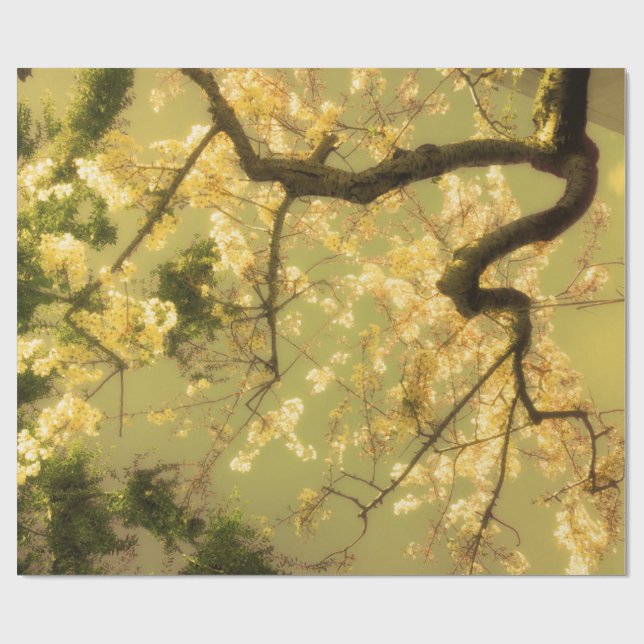 Presente Papel de enrolamento Papel Roll Ramificação de Flo (Aberto)