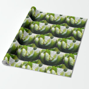 Presente Papel de enrolamento verde Cobra