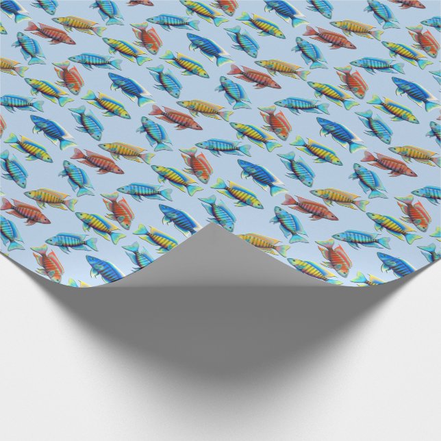 Presente Papel de envolvimento africano dos peixes de (Ponta)