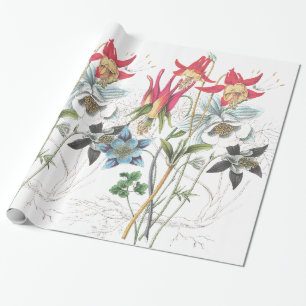 Presente Papel de envolvimento aquilégia das flores