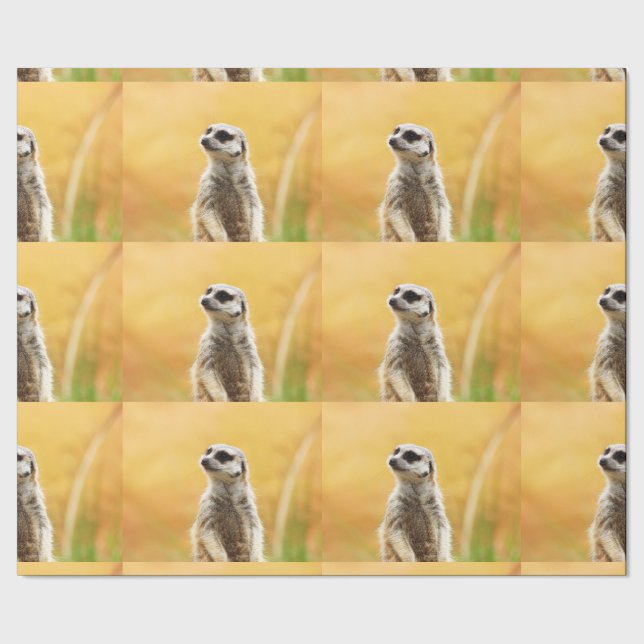 Presente Papel de envolvimento bonito de Meerkat (Barra)