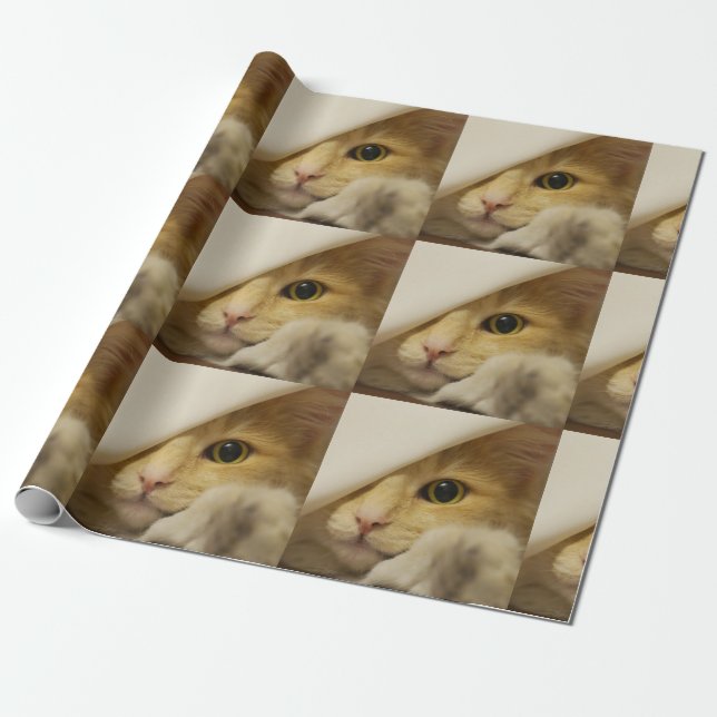 Presente Papel de envolvimento bonito do gato do bichano (Desenrolado)