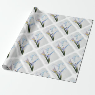 PRESENTE PAPEL DE ENVOLVIMENTO BRANCO DOS LÍRIOS DE CALLA