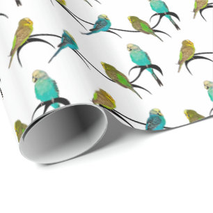 Presente Papel de envolvimento da agitação de Budgie