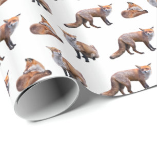 Presente Papel de envolvimento da agitação do Fox vermelh