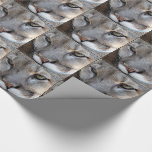 Presente Papel de envolvimento da pantera de Florida (4071)