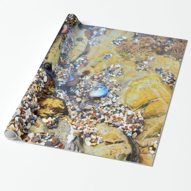 Presente Papel de envolvimento da piscina da maré (Desenrolado)