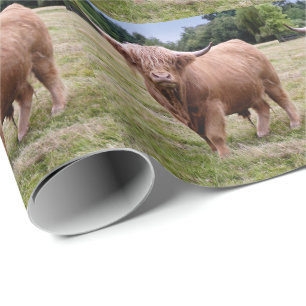 Presente Papel de envolvimento da vaca das montanhas