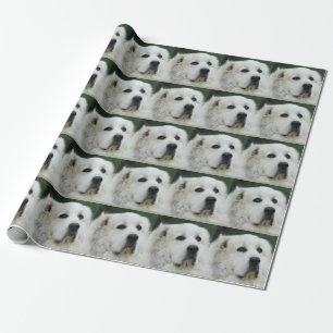 Presente Papel de envolvimento de grandes Pyrenees