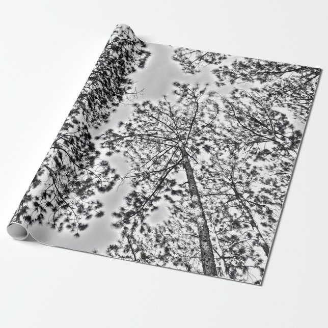 Presente Papel de envolvimento de Gumtree (Desenrolado)