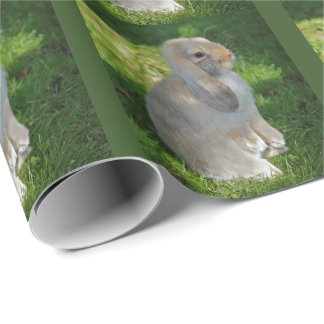 Presente Papel de envolvimento do coelho de Minilop do bebê