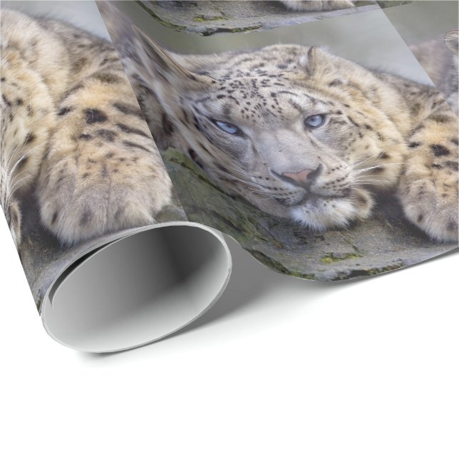 Presente Papel de envolvimento do leopardo de neve de (Ponta do rolo)