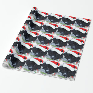 Presente Papel de envolvimento do Natal da Terra Nova da