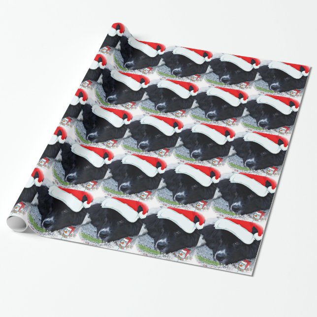 Presente Papel de envolvimento do Natal da Terra Nova da (Desenrolado)