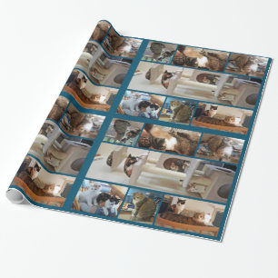 Presente Papel de envolvimento dos gatos