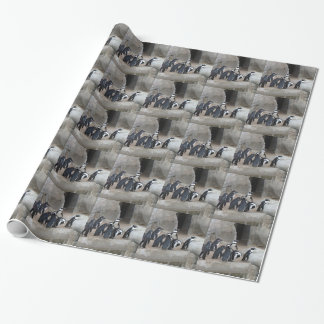 Presente Papel de envolvimento dos pinguins