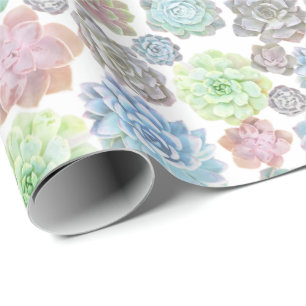 Presente Papel de envolvimento dos Succulents