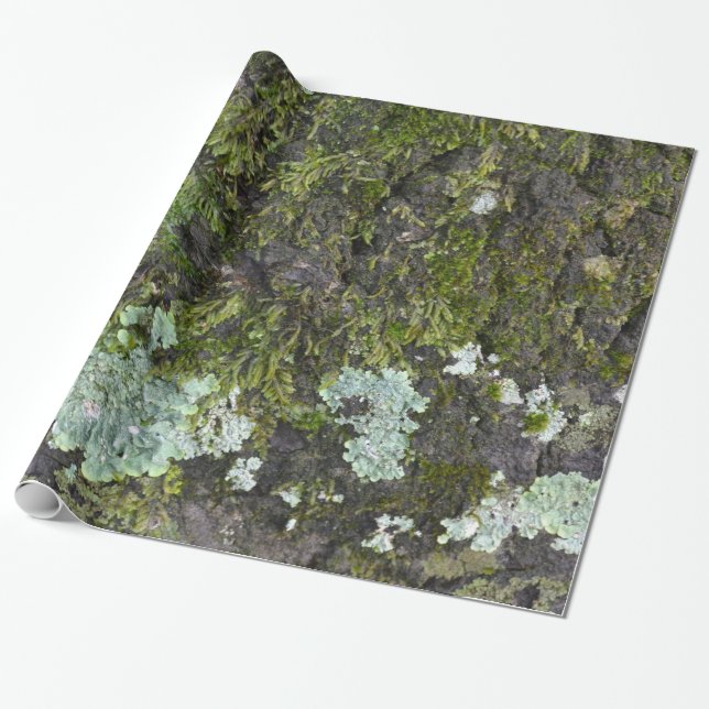 Presente Papel de envolvimento real de Camo da fotografia (Desenrolado)