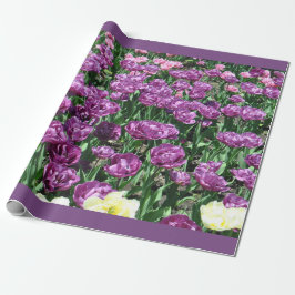 Presente Papel de envolvimento roxo das tulipas