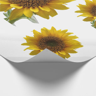Presente Papel de Enxofre de Girassol
