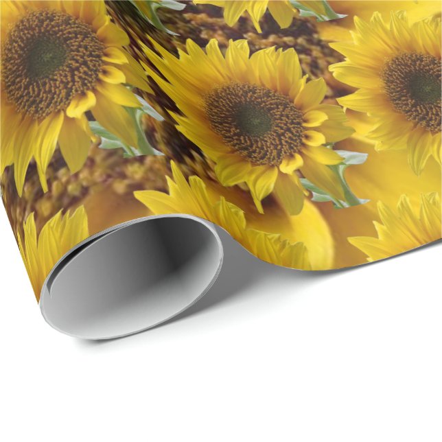 Presente Papel de girassol de embalagem de matérias (Ponta do rolo)