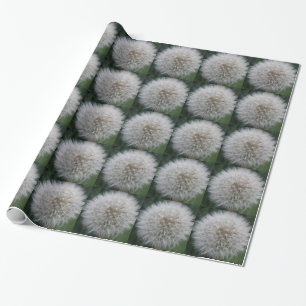 Presente Papel De Lavagem De Flores Dandelion