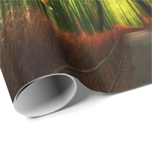 Presente Papel de mola para bambu e borboleta Art 2