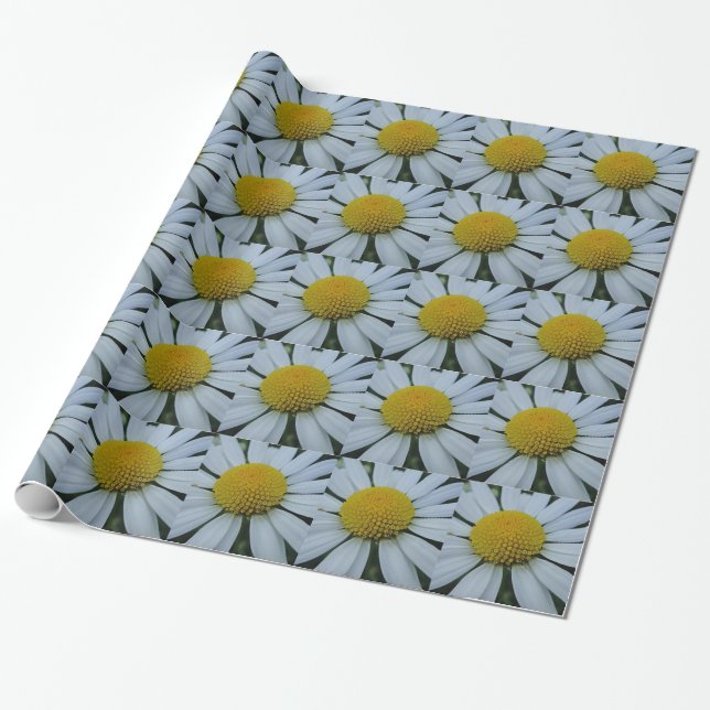 Presente Papel de moldagem branco Chrysanthemum (Desenrolado)