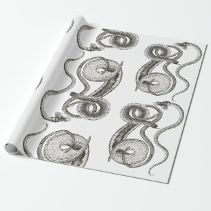 Presente Papel de Moldagem de Presentes Cobra