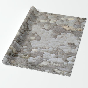 Presente Papel de moldagem do latido de árvore
