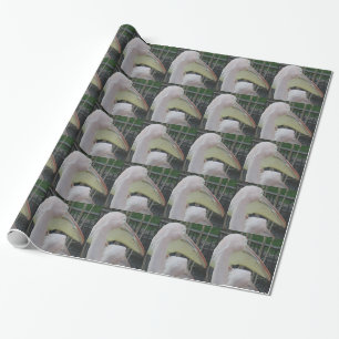 Presente Papel de Moldagem Heron