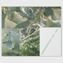 Papel de moldagem/MMETROPOLIMdesign