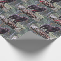Papel de moldagem personalizada de cães