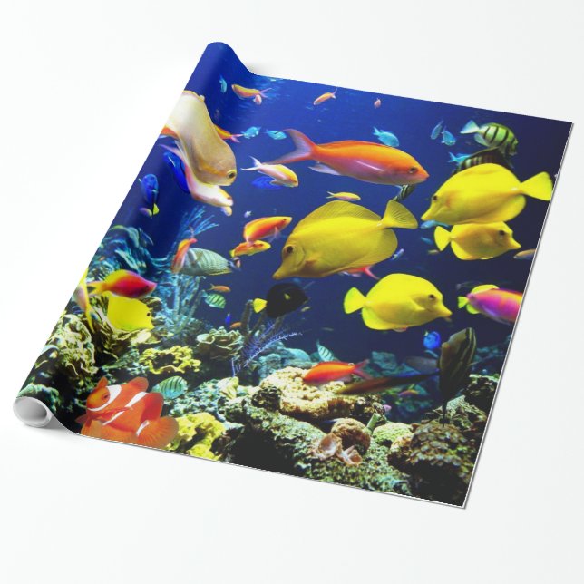 Presente Papel de moldagem subaquático de 5 a 6 opções de i (Desenrolado)