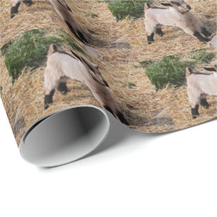 Presente Papel de molhação para crianças