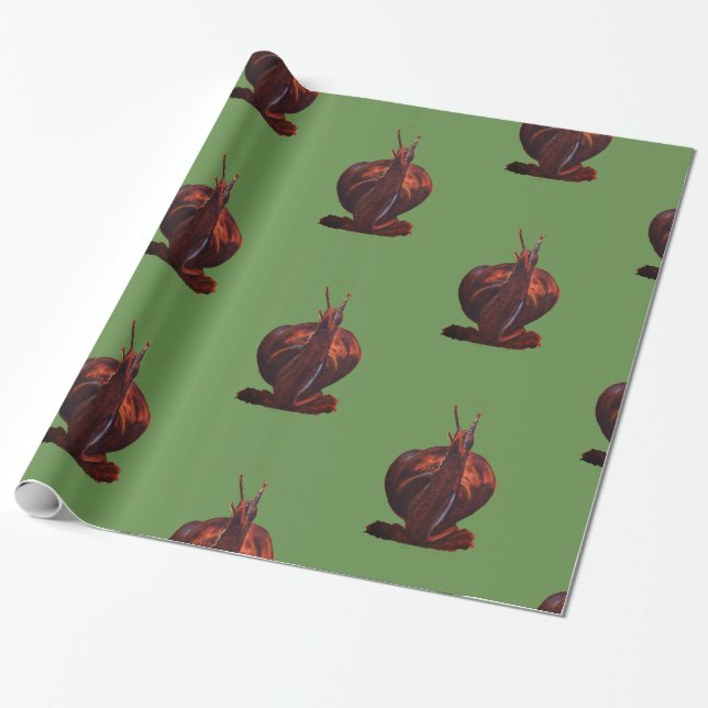 Presente Papel de ondulação brilhante de desenho de caracol (Desenrolado)