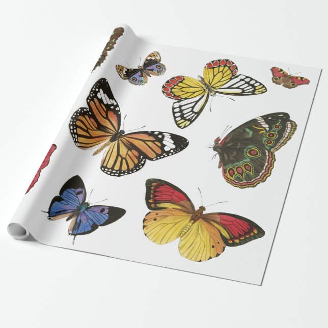 Presente Papel de ondulação das borboletas (Desenrolado)