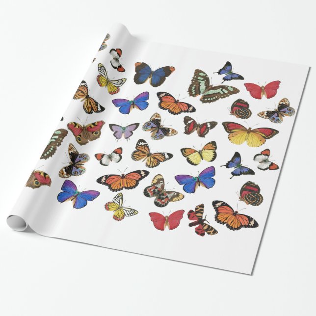Presente Papel de ondulação das borboletas (Desenrolado)