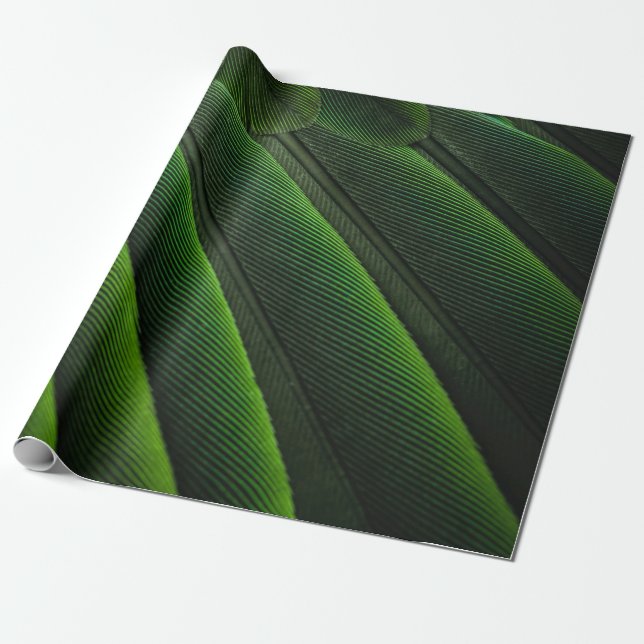 Presente Papel de parede 3D verde (Desenrolado)