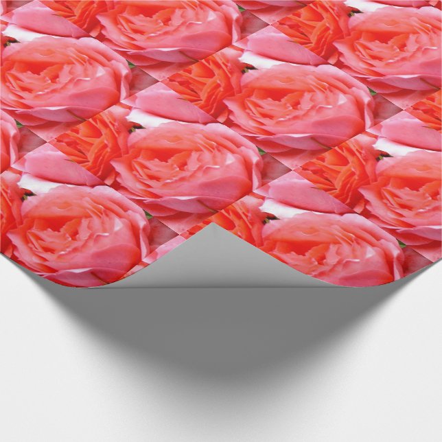 Presente Papel de Parede de Rosas Vermelhas Elegantes (Ponta)