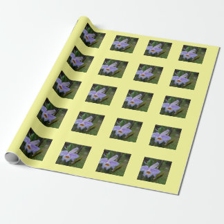 Presente Papel de regalo fotográfico