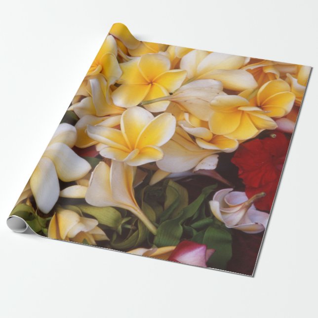 Presente Papel Floral de Moldagem Frangipani (Desenrolado)
