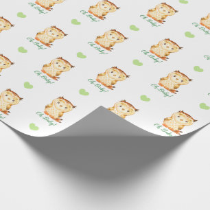 Presente Papel Neutro de Enrolamento de Chás de fraldas (C