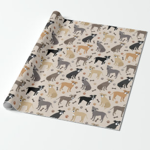 Presente Papel para moldagem de patas e ossos